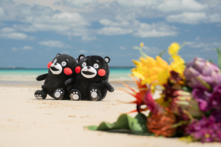 宮古島にくまモン上陸♪