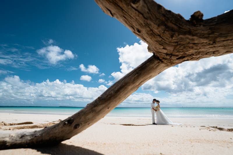 素敵なお写真集めました♪