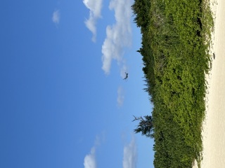 宮古ならではの撮影!!