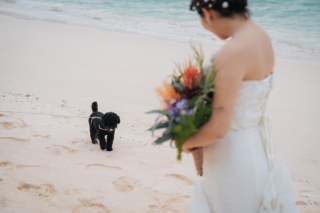 お散歩中のワンちゃんと一緒に♡