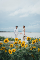 宮古島では、5月からひまわりが咲いてます♪