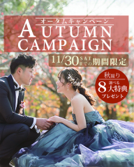 11月のキャンペーン!
