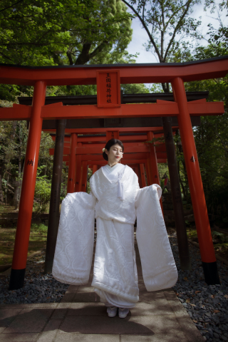 朱の鳥居と白無垢の調和