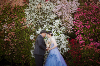 色とりどりの花々に包まれて