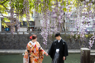 眼鏡橋と藤の花が紡ぐ和の物語