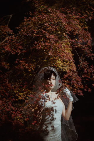 秋色に溶け込む花嫁