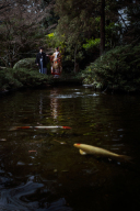 庭園の静寂と彩りに包まれて