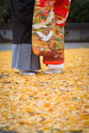 鶴とともに歩む未来