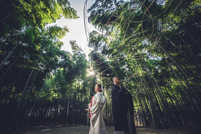 あけましておめでとうございます&deg;˖✧&deg;˖✧˖&deg;✧˖&deg;