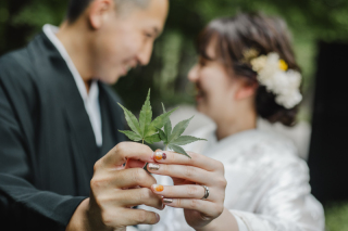 新緑の季節到来です٩(ˊᗜˋ*)و