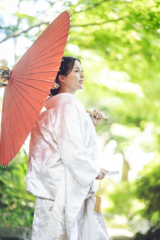 新緑の季節のおススメは・・・こちら⑅◡̈*。