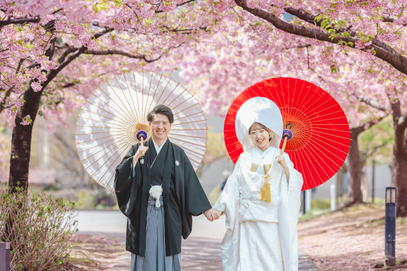 桜プランのご予約はじまりました*.+ ❀ *.+ ❀ *・ﾟ