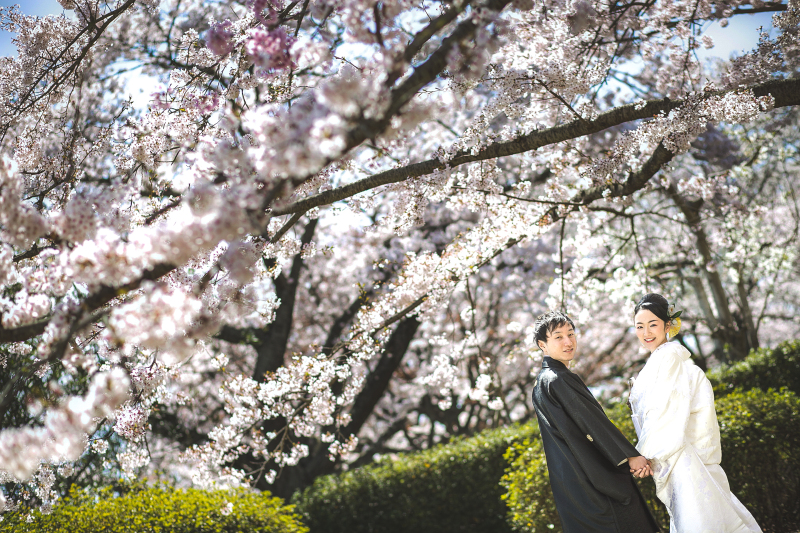 桜プランのご案内!!