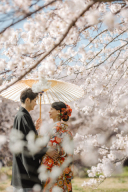 今年も人気の桜ロケ*.+ ❀