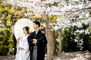 春撮影のご予約はお早めに！