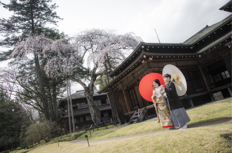 田母沢御用邸の桜と・・・
