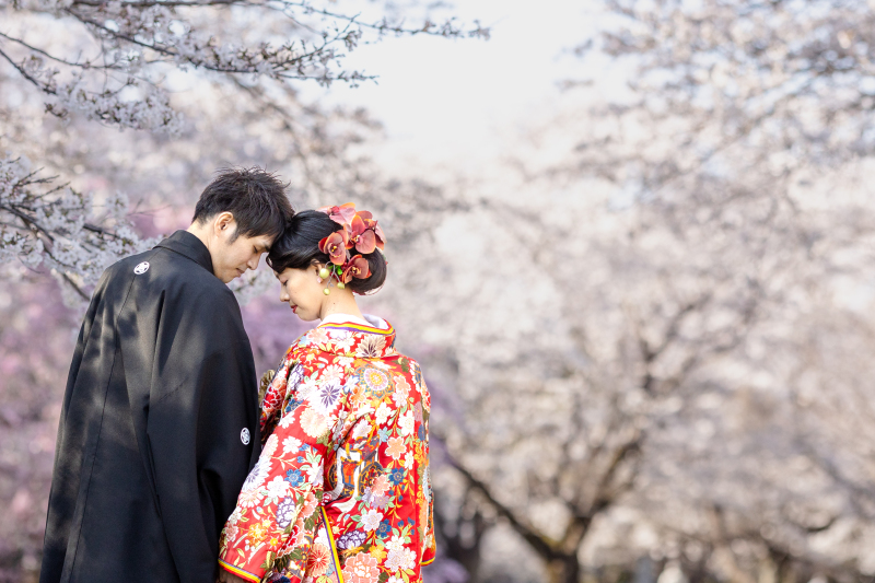 今年も人気の桜ロケ*.+ ❀