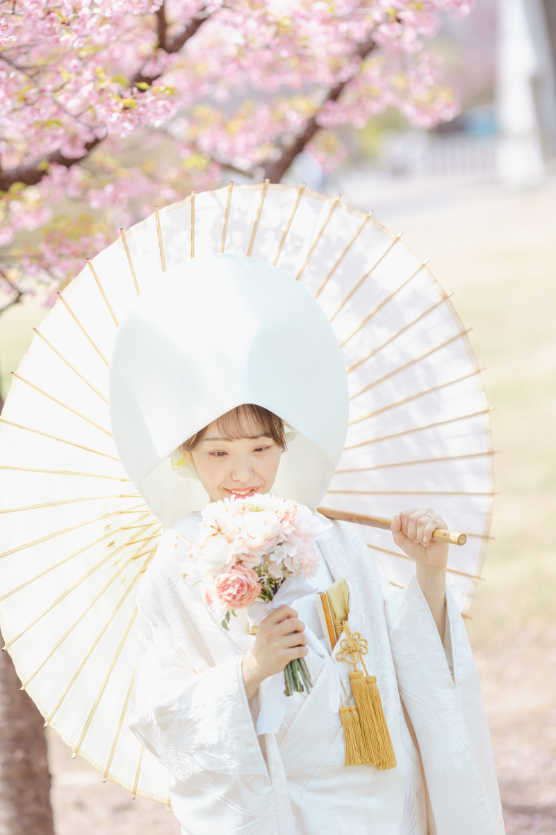 桜プランのご予約はじまりました*.+ ❀ *.+ ❀ *・ﾟ