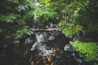 プランのご紹介第２弾！！