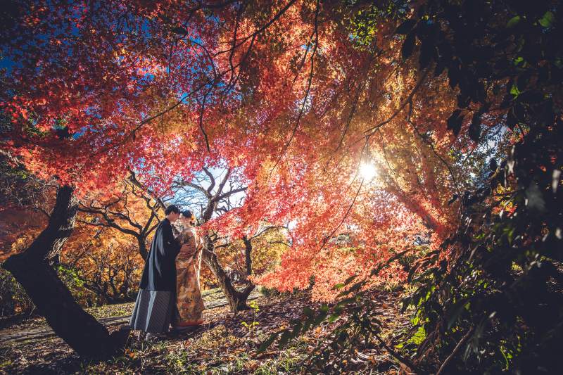 秋の紅葉撮影受付中！！