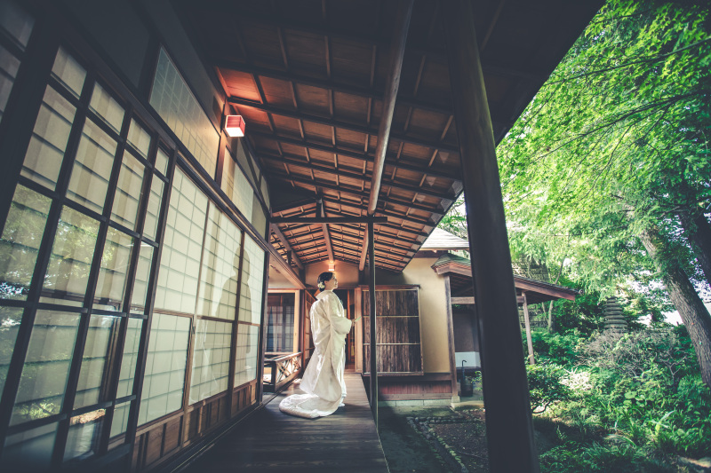 桜はもちろん５月６月の新緑もご予約スタート(⁠✿⁠^⁠‿⁠^⁠)ノ