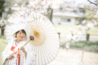 桜プランご好評頂いてます(∩ˊ꒳ˋ∩)・*♡