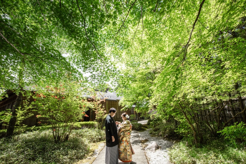 新緑での撮影