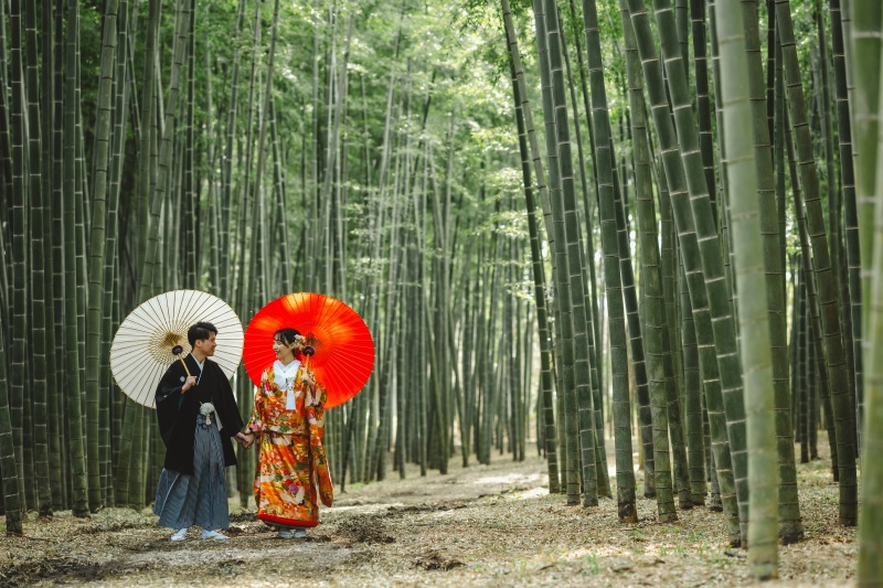 涼しい竹林にて°˖✧