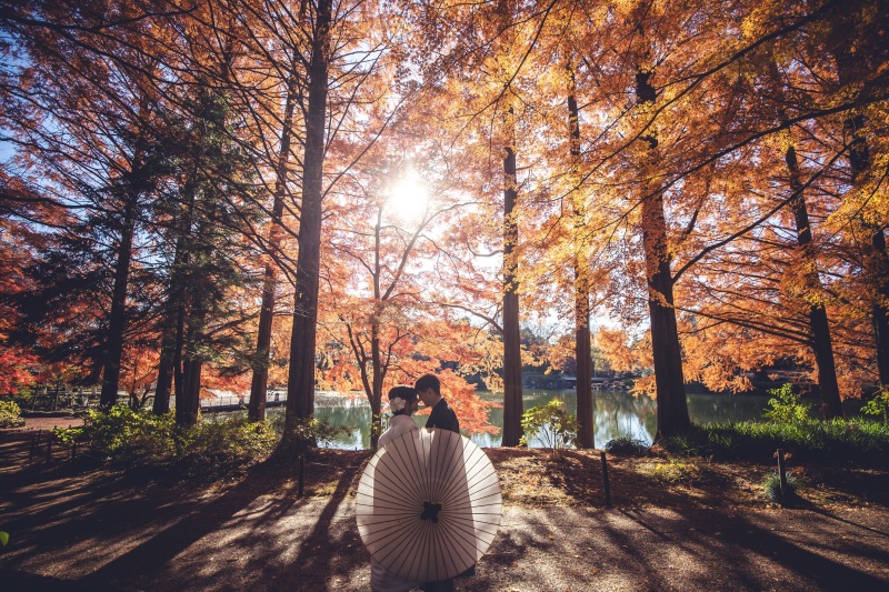 12月も紅葉間に合います♪