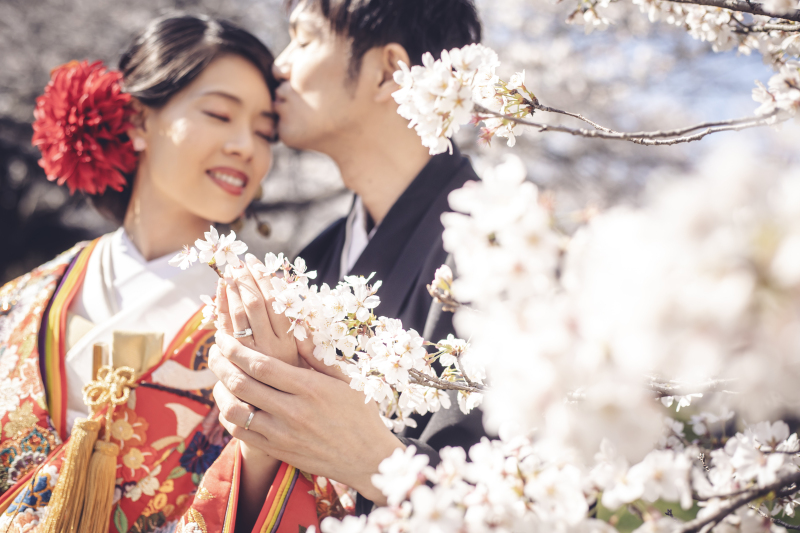 今年も人気の桜ロケ*.+ ❀