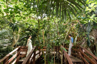 石垣島ならではのグリーンに囲まれて