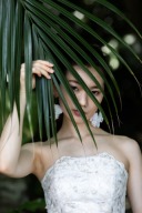 石垣島のヤエヤマヤシ撮影