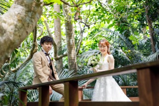 石垣島の大自然