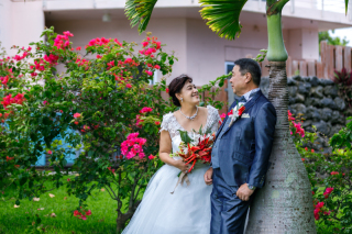 南国を感じて˖✧