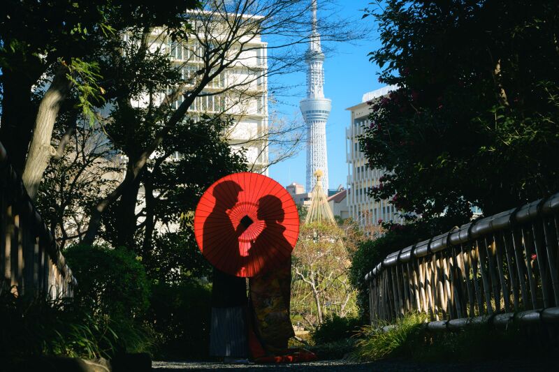 12月 庭園の撮影空き状況のお知らせ