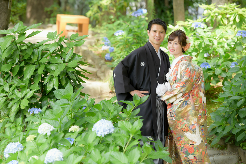 紫陽花の時期の撮影