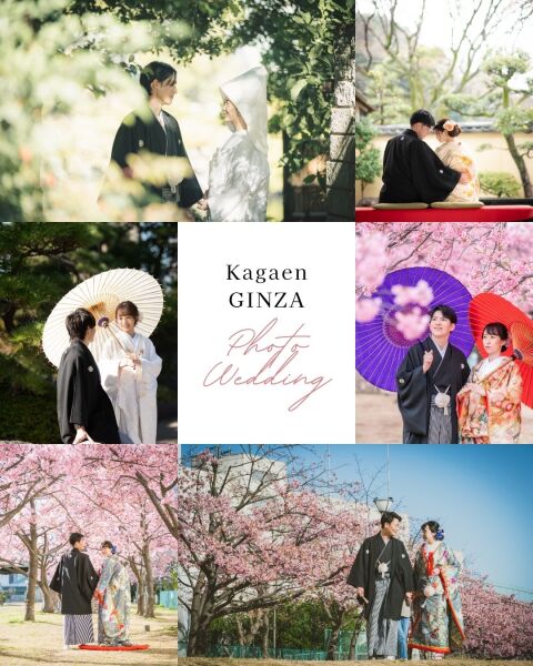 桜だけ?新緑も美しい4月です!