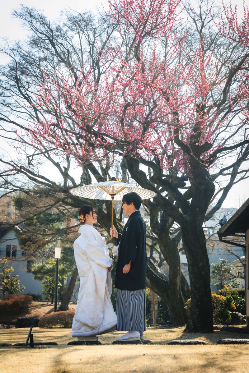 『梅』時期の庭園撮影