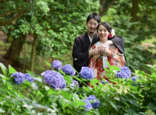 紫陽花の時期の撮影