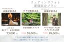期間限定プラン フォトウエディング♪