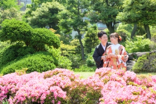 新プラン『５月平日限定和洋弐点プランについて』