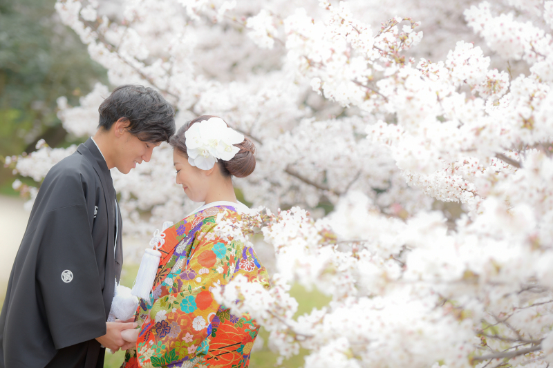 桜の季節の撮影に関して