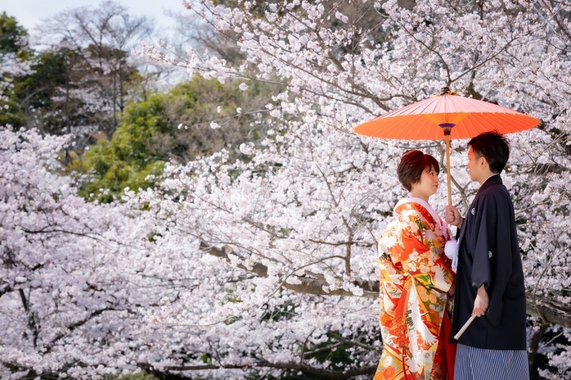 桜の季節の後は、新緑の季節