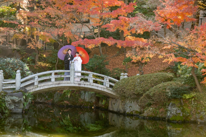 紅葉時期の空き状況のご案内