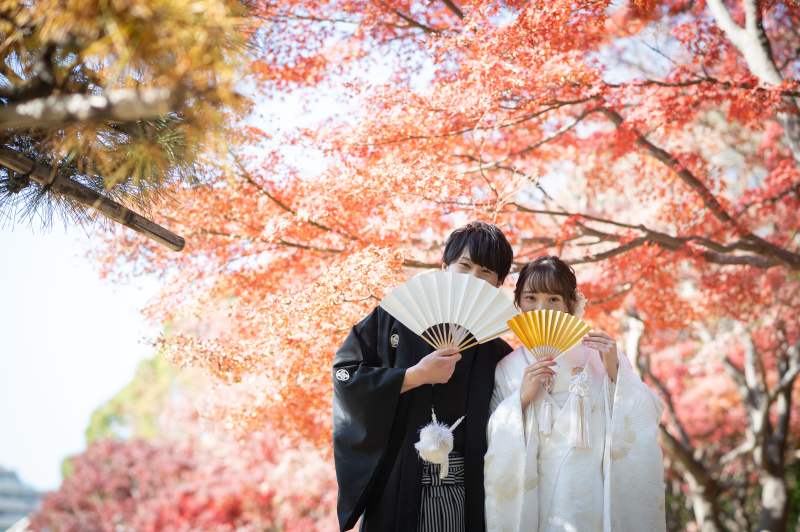 紅葉時期の空き状況のご案内