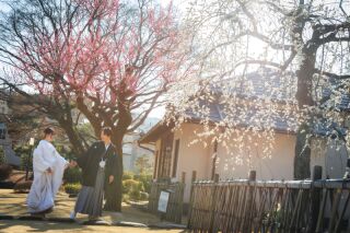『梅』時期の庭園撮影