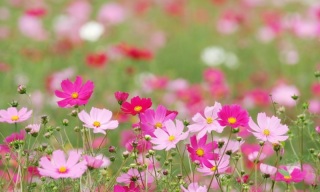 秋ロケ予約受付中です