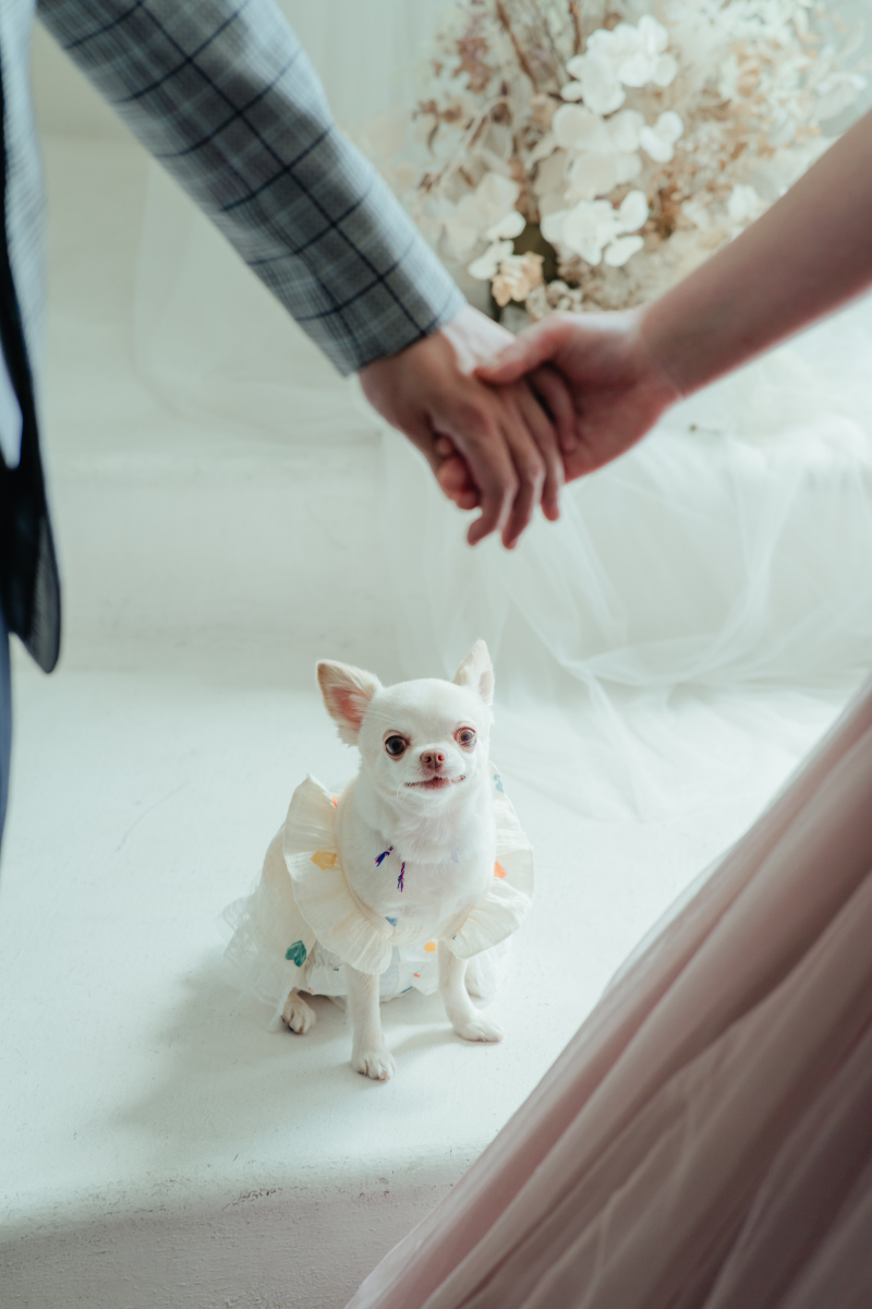 【フォトレポート】ワンちゃんと一緒にスタジオフォト