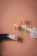 ≪真似したい♪≫カワイイフォトポーズご紹介