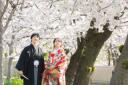早期ご予約受付中♪桜でロケフォト